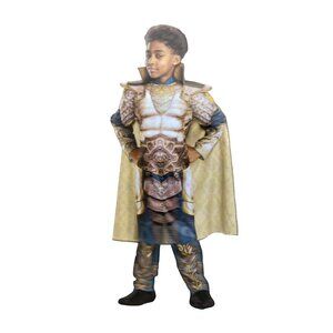 Disguise Boys M (8) Dungeons & Dragons Xenk Halloween Costume